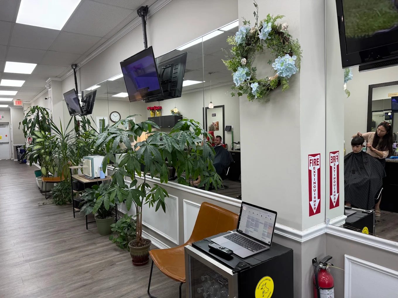 The bank of green plants that runs the length of the mirrored wall.